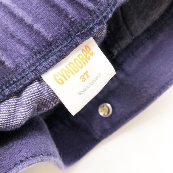 Gymboree blue toddler girl pants - Picture 3 of 4